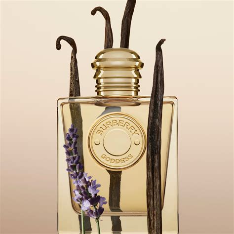burberry perfume vanilla